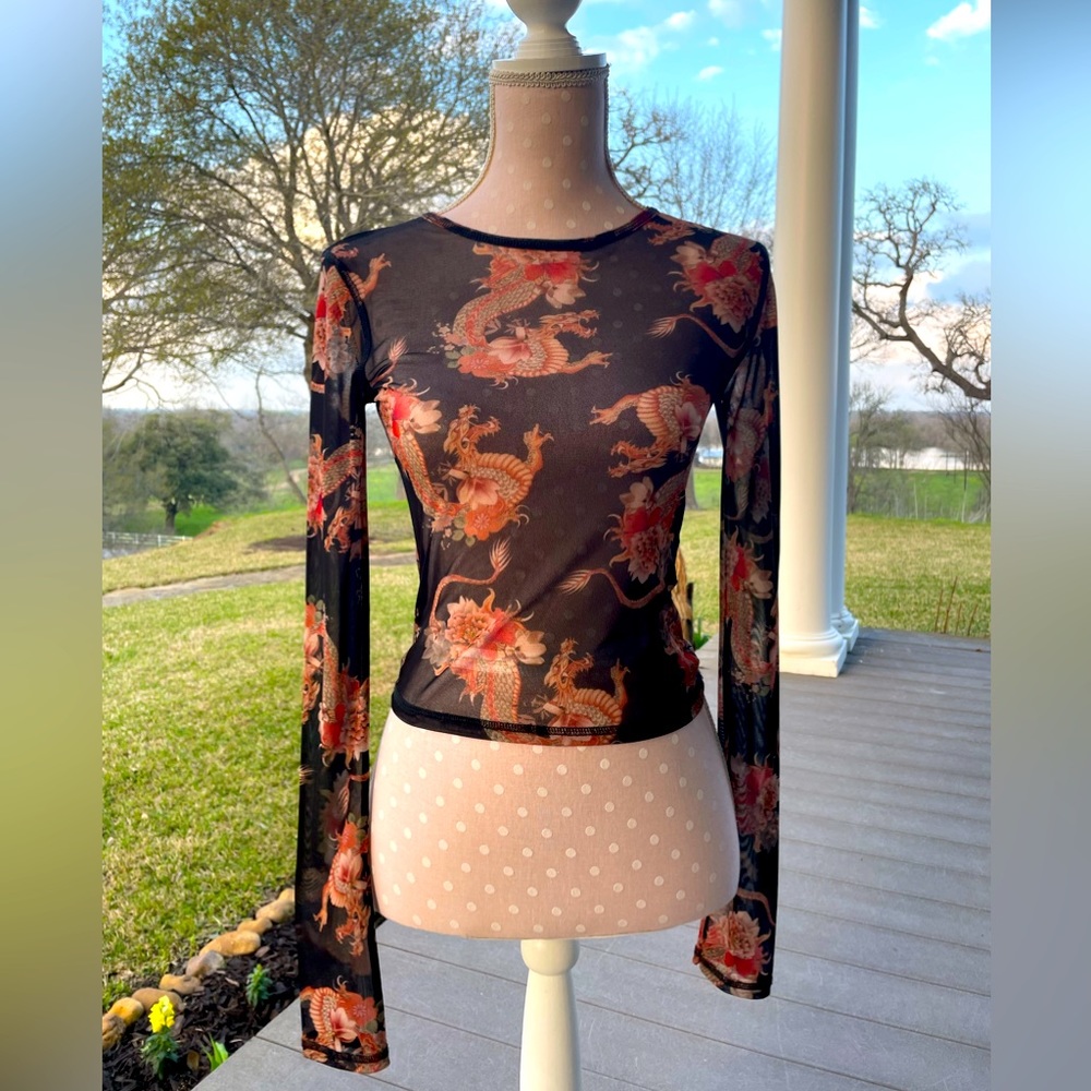 Urban Outfitters Black Sheer Mesh Long Sleeve Crop Top w/ Dragon Print - XS